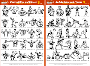 Bodybuilding Exercises Pictures Training Pdf